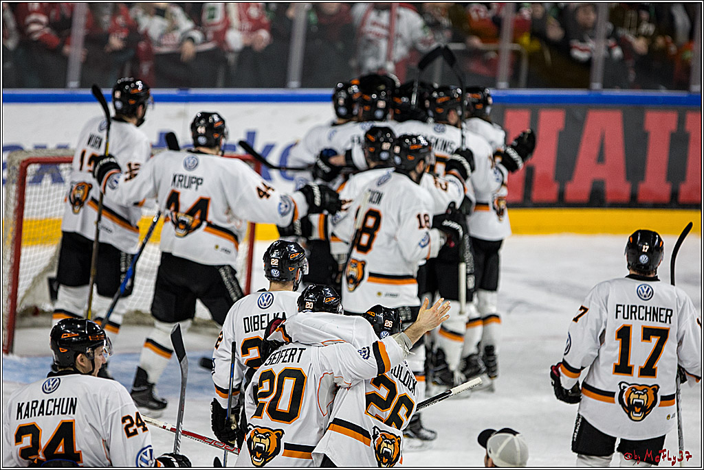 DEL, Koelner Haie - Grizzlys Wolfsburg, 21.03.2017